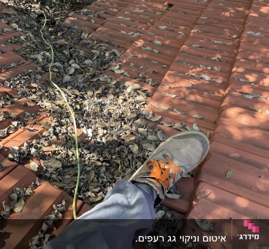 רגל על גג רעפים עם עלים יבשים